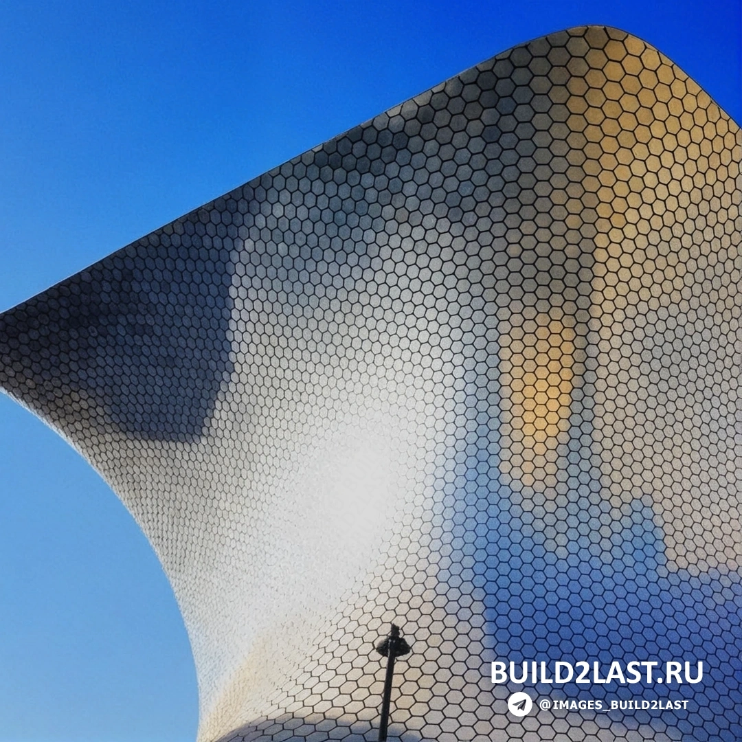 ����� ����� Soumaya � ������ � �������������� ������������ ��������.